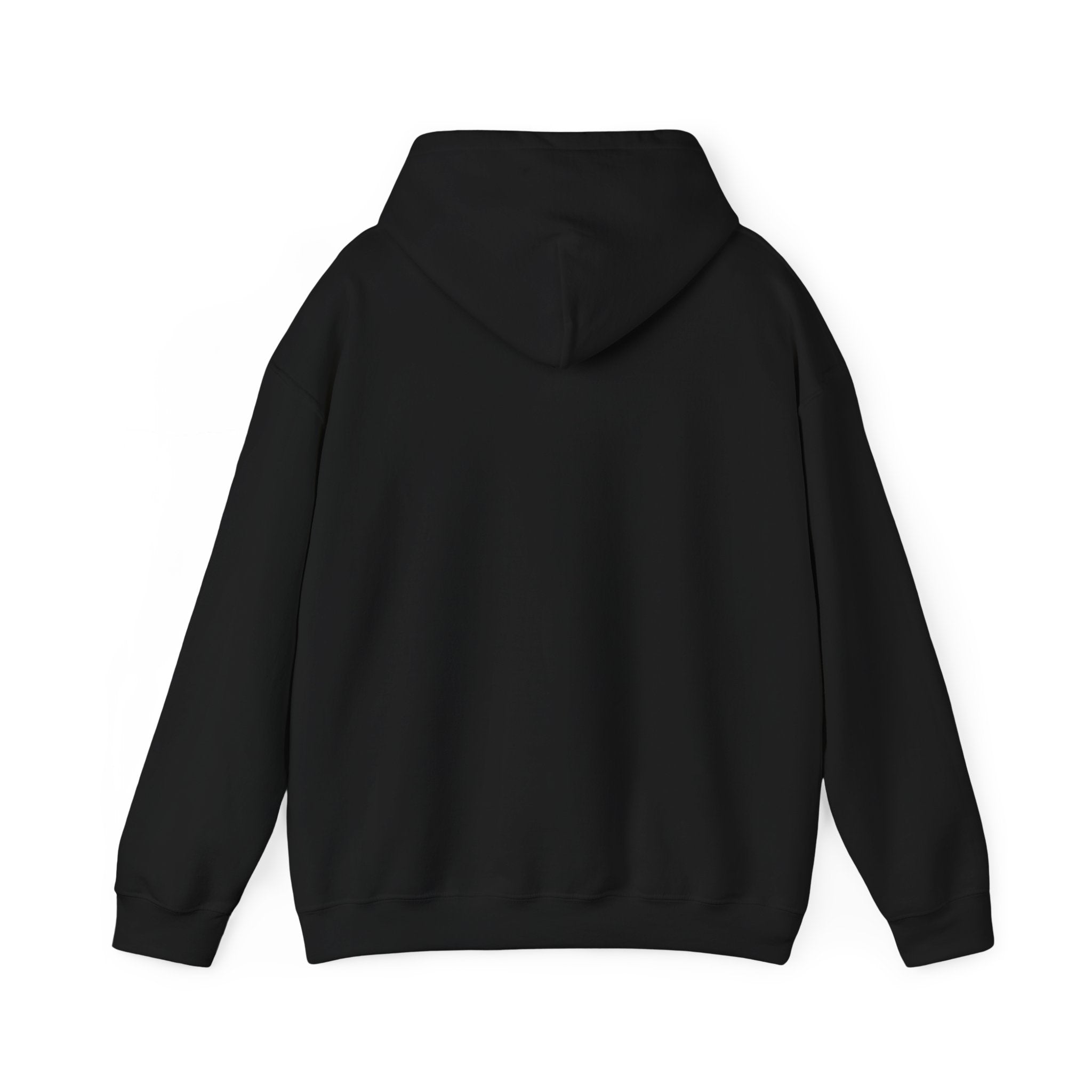 Quiet Power Hoodie